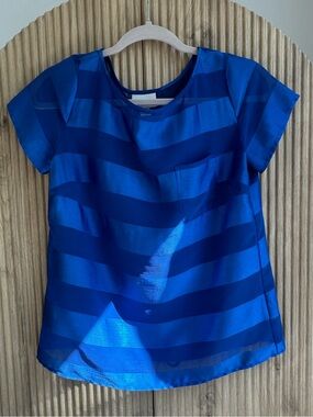 Ann Taylor LOFT | Petite Blue Sheer Striped Short Sleeve Pocket Blouse SP